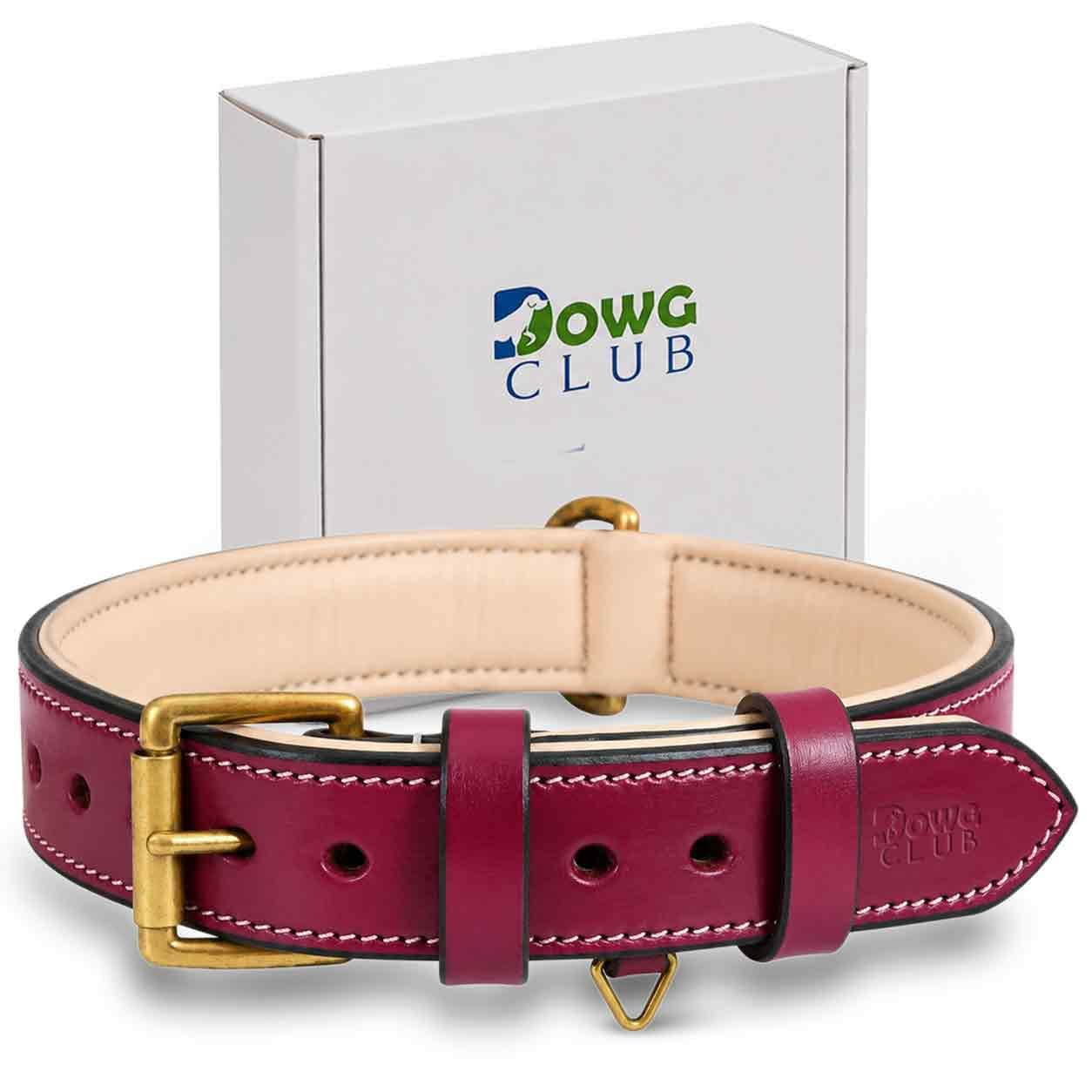 DowgClub Genuine Leather Dog Collar, Dark Pink, Large, Brass Buckle, Padded