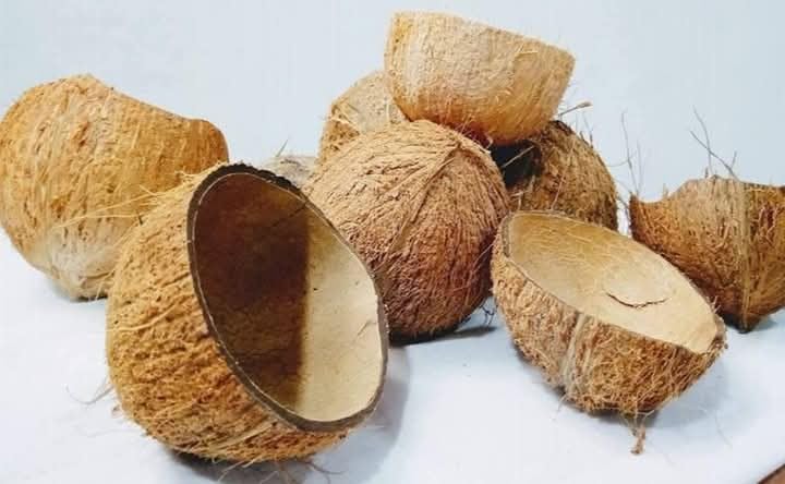 Natural Coconut Shell, Raw Dried Husks, Traditional Craft Material-image-22