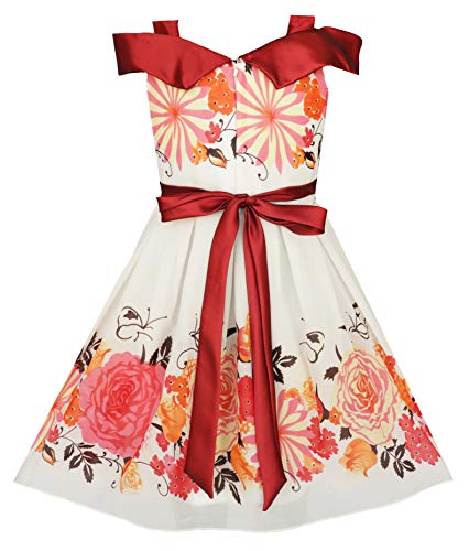 Image of Baby Girls Birthday Frock Dress Baby Girls Dress Daisey Frock