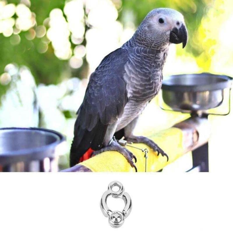 Bird Leg Ring in Silver - Good for African Congo Grey Parrot Size: 12 MM (B0B6CYD4SG) Amazon Price History, Amazon Price Tracker