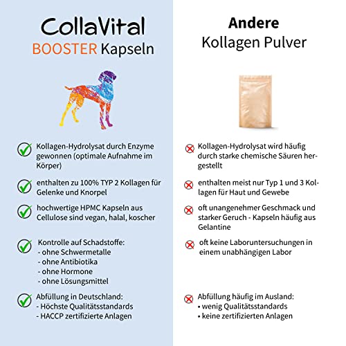 CollaVital® Dog Booster Typ2 Kollagen 40 Kapseln - Gelenkpulver aus bioaktiven Kollagen Hydrolysat - Geschmacksneutral - bioaktive Kollagenpeptide - Protein Booster - Arthrose - für den Hund