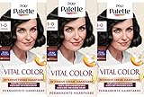 Palette