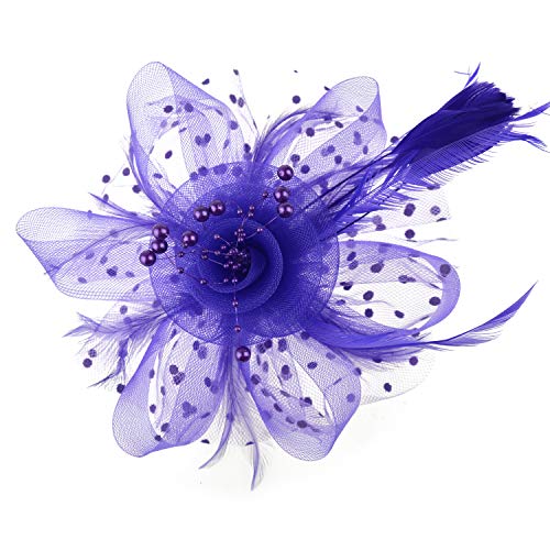 Image of DRESHOW Fascinators Hat Flower Mesh Ribbons Feathers on a Headband and a Clip Tea Party Headwear for Girls and Women