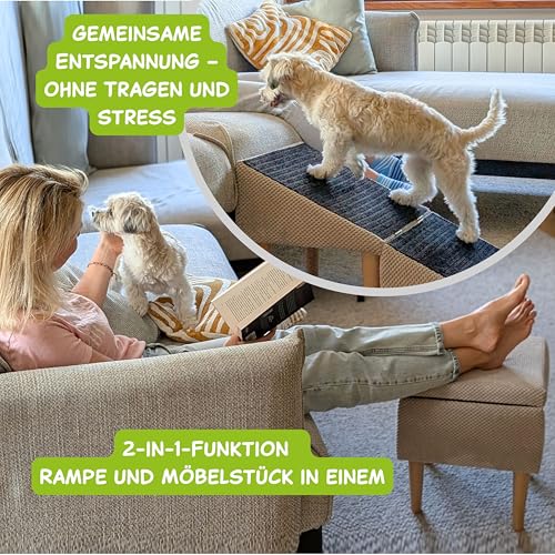 Outentin Hundetreppe Klappbar – Rutschfeste Hunderampe & Weiche Haustiertreppe für Kleine & Große Hunde, Treppe für Sofa & Bett, Stabil & Faltbar, Möbeloptik, 36 cm Hoch – Zuhause & Unterwegs,Hellgrau