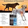 DOG IS HUMAN Multivitamin Dog Supplement, Chewable Dog Vitamins and Supplements, Healthy Skin & Coat, Aids Digestion & Boosts Immunity, 60 Chews (1PCS) #4