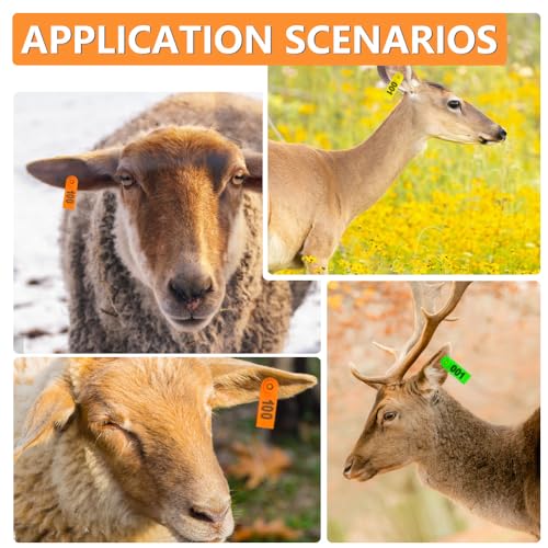 WMYCONGCONG 300 Pcs Kunststoff Vieh Ohr Tag Animal Tag Blau Gelb Orange Grün und 1 Pcs Ohrmarke Applikator für Ziege Schaf Pig