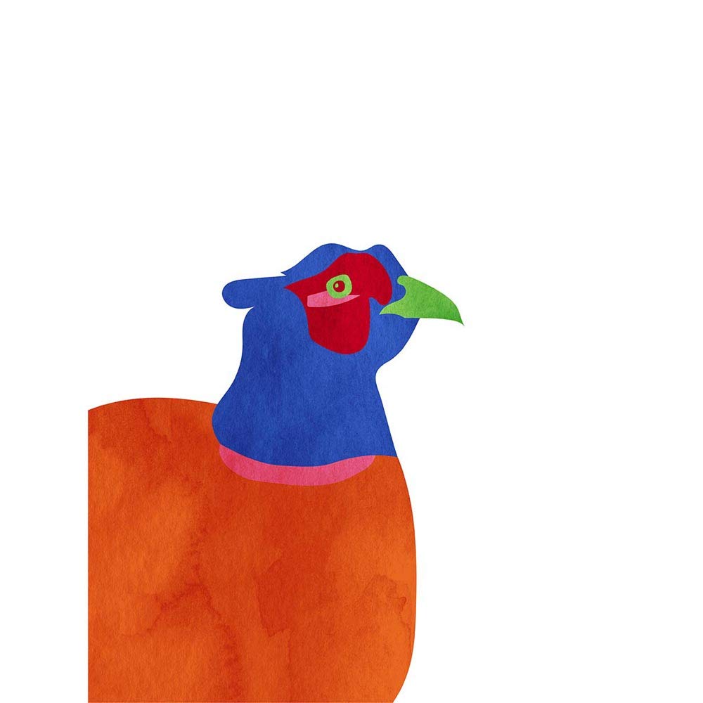 Wee Blue Coo Bright Pheasant Bird Wall Art Print 12X16
