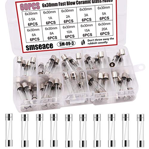 smseace 60 PCS 6x30mm 250V Fast Blow Ceramic Glass Fuses 10 Different Ampere Values fuses Assortment Kit SM-09-3
