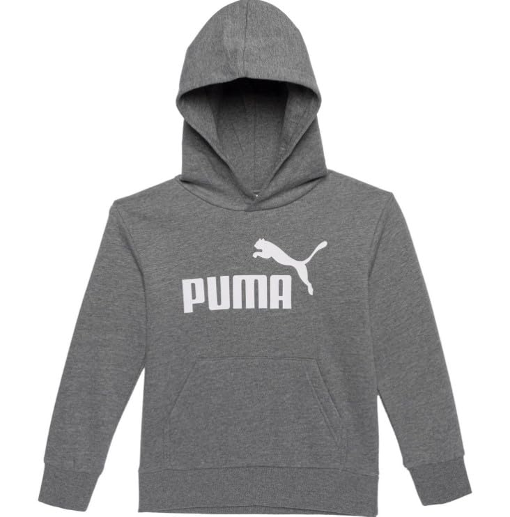 PUMA Little Boys Logo Fleece Hoodie, Charcoal Gray, 5