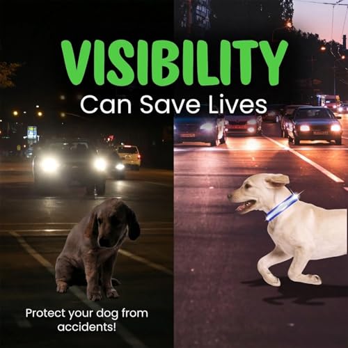 Image of BWB Premium Reflective Nylon Dog Collar (Pack of 2)-Feautures with Adjustable & Durable, Nylon Dog Belt, Heavy Metal D Ring & Strong Buckle, for Dogs (Multicolor)