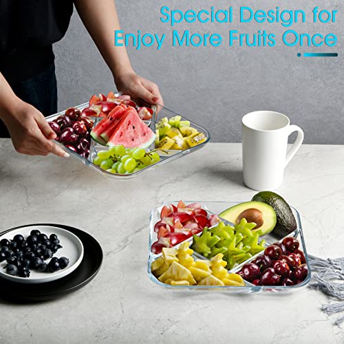 Nutriups Glass Divided Plate Glass Dinner Plate With Compartments Square Glass Portion Plate Glass Compartment Plate Glass Sectional Plate, 10 In (10Inch Square-5 Sectional （Set Of 2） Windmill) #TOP3