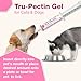 Tru-Pectin Anti-Diarrheal Oral Paste for Dogs & Cats – Chicken Liver Flavor –Helps Reduce Occasional Loose Stool & Diarrhea, Balance Gut pH, Support Normal Digestion & Gut Flora -Made in USA- 30cc