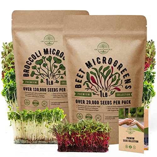Broccoli & Beet Microgreens Seeds Bundle Non-Gmo Heirloom Seeds For Planting Indoor And Outdoor Over 150,000 Microgreen & Sprouting Seeds In One Value Bundle #TOP20