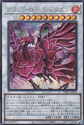 ブラッド・ローズ・ドラゴン デッキ【蟲惑魔＋幻影騎士団