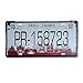 metal Signs PLUMTALL France Paris Car Auto Tag Metal License Plate Vintage Home Decor Bar Pub Cafe Tin Art Wall Painting Plaque (6 x 12 inches)