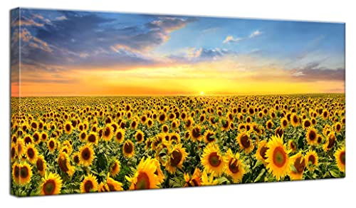 Faxiasho Oversized Sunflower Field Canvas Wall Art Sunset Flower Wall Decor Rustic Pictures For Living Room Bedroom Bathroom Decor Yellow 48"x24" by Faxiasho - Used condition - US$68.51