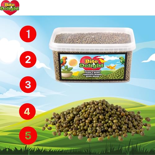 Bite & Delight 4kg Mungbohnen Eiweißreiche Mung Bohnen Rein Staubfreie Bohnen für Sprossen Ohne Künstliche Zusätze Völlig Naturbelassen Keimfähig