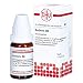 Produktbild DHU Berberis D6 Streukügelchen, 10 g Globuli