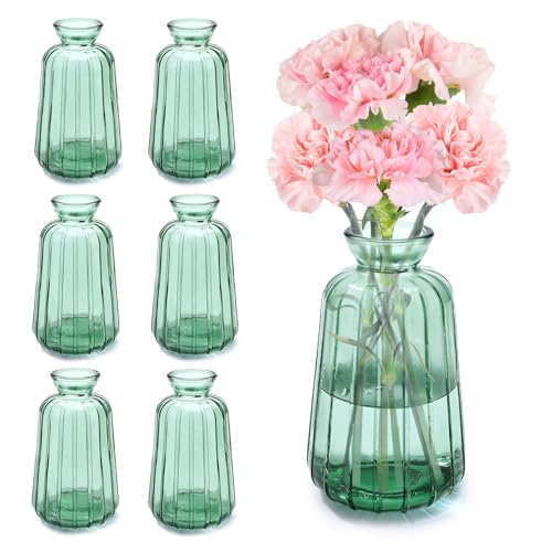 Mexgcom Kleine Glasvasen für Tischdeko, 6 Stück Kleine Glasvasen, Vintage...