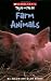 Scholastic True or False: Farm Animals