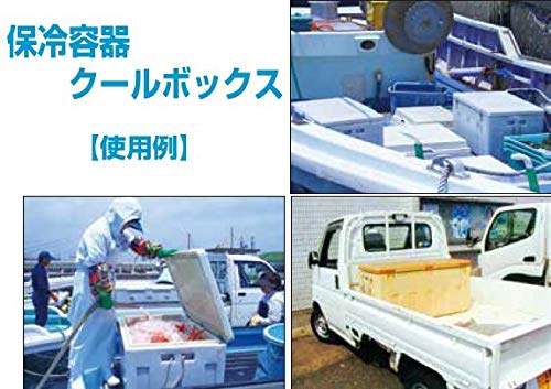 Amazon.co.jp: ダイライト 保冷容器 クールボックス 90型 : ドラッグストア