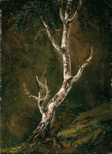 Étude d'un bouleau par Johan Christian Dahl Peinture Toile 60x90cm
