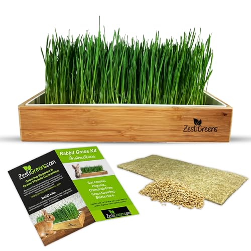 Rabbit Grass Growing Kit – Easy, Self-Watering System for Fresh, Healthy Indoor Greens