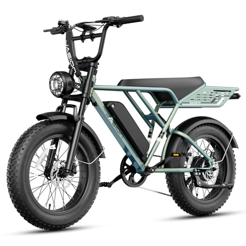 Jasion RetroVolt Pro Electric Bike for Adults, [3000W Peak Motor & 38 MPH & 80-Miles], 52V 20AH Removable Battery, Hydraulic Brakes EBike, 20'' X 4'' Fat Tire Electric Dirt Bike