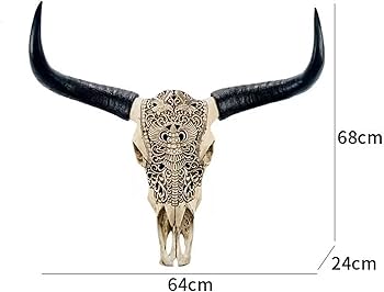 51vKQjM8L8L._AC_UF350,