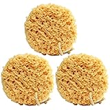 Exfoliating Foam Sea Sponge 5 Inch (Pack of 3) Natural Feel 5'