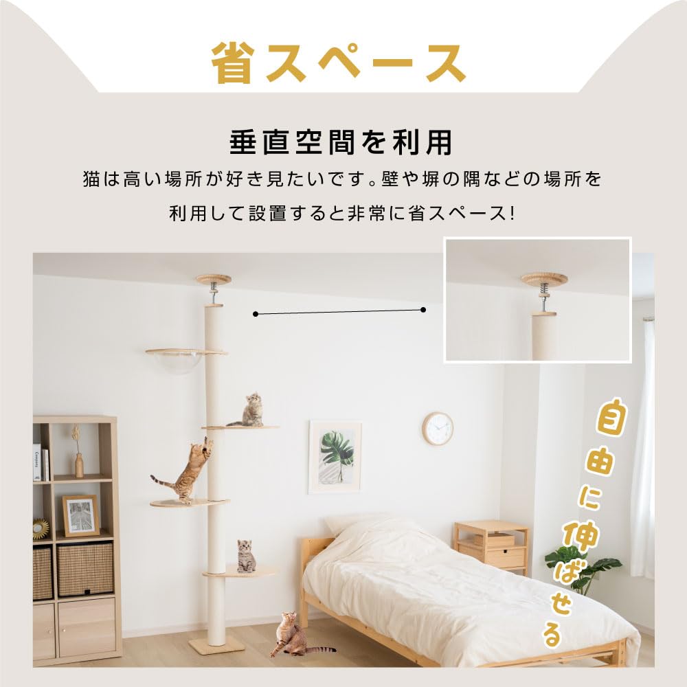 Amazon | 【COMFORT ZONE 】キャットタワー 突っ張り 猫