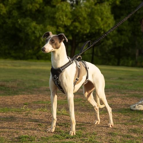 Huntboo Hunde Sicherheitsgeschirr, Sicherheitsgeschirr für Hunde, Vollständig Reflektierendes Geschirr mit Gepolstertem Griff, Wasserdicht, Verstellbare Weste (Schwarz, M)