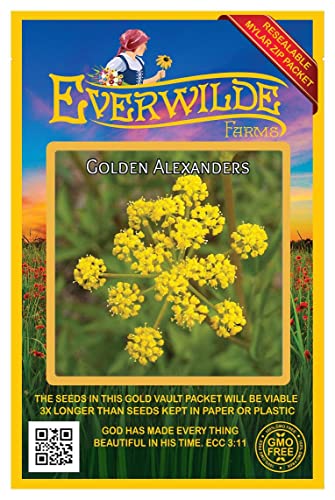 Everwilde Farms - 500 Golden Alexanders Native Wildflower Seeds - Gold Vault Jumbo Seed Packet #TOP28