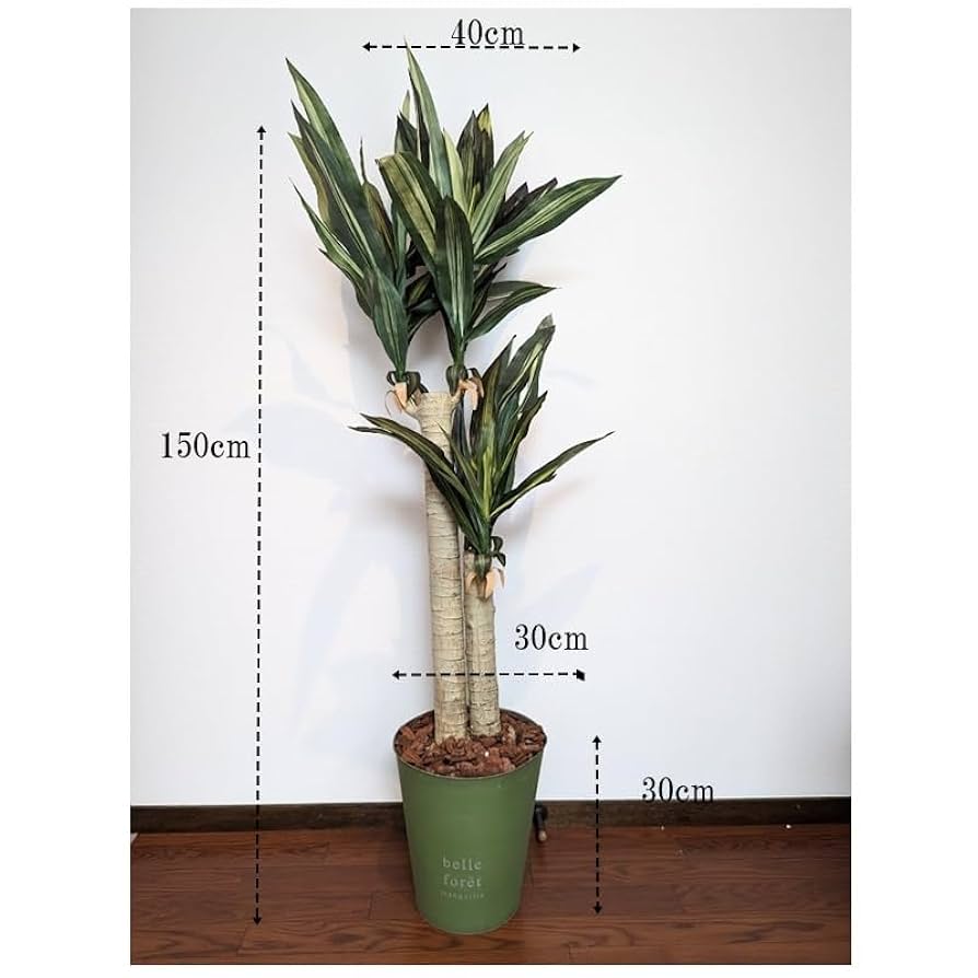 人工観葉植物 約150cm 白い鉢付き 人工観葉植物 約150cm 白い鉢付き Amazon｜HGJH 観葉植物