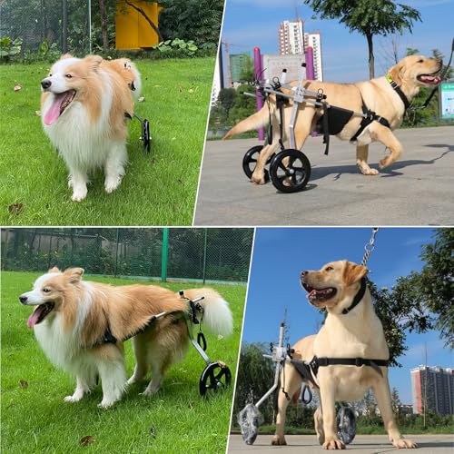 Aluminium-Rollstuhl für große Hunde, Rollstuhl für große Haustiere, 2 verstellbare Hinterbeine, Hundeverschieber für Hinterbeine, geeignet für 30-50 cm Hinterbeine, 20 bis 30 kg Hunde(XL)