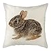Cute Animals Pościel Poszewka na Poduszkę Królik Obraz Drukowana Poszewka na Poduszkę do Domu Sofa Krzesło Rzuć Poszewki 45x45cm-2