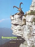 Bouquetins du Creux du Van