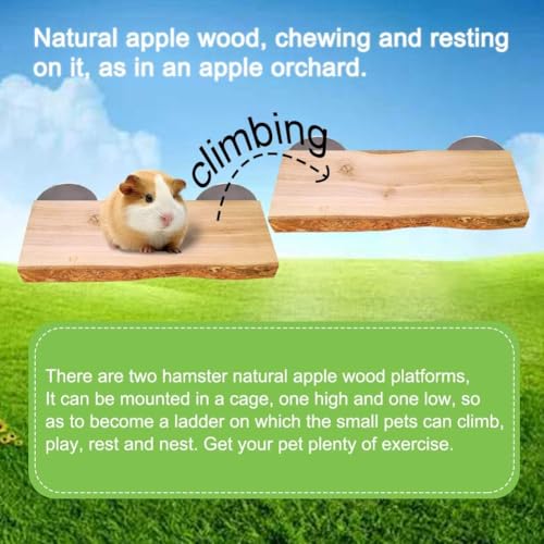 Image of 2Pcs Hamster Ledges Wooden Platform 2.6 x 6 Inch Rat Climb Platform Shelf Bird Perch Stand Toys Cage Accessories for Rat Gerbil Suger Glider