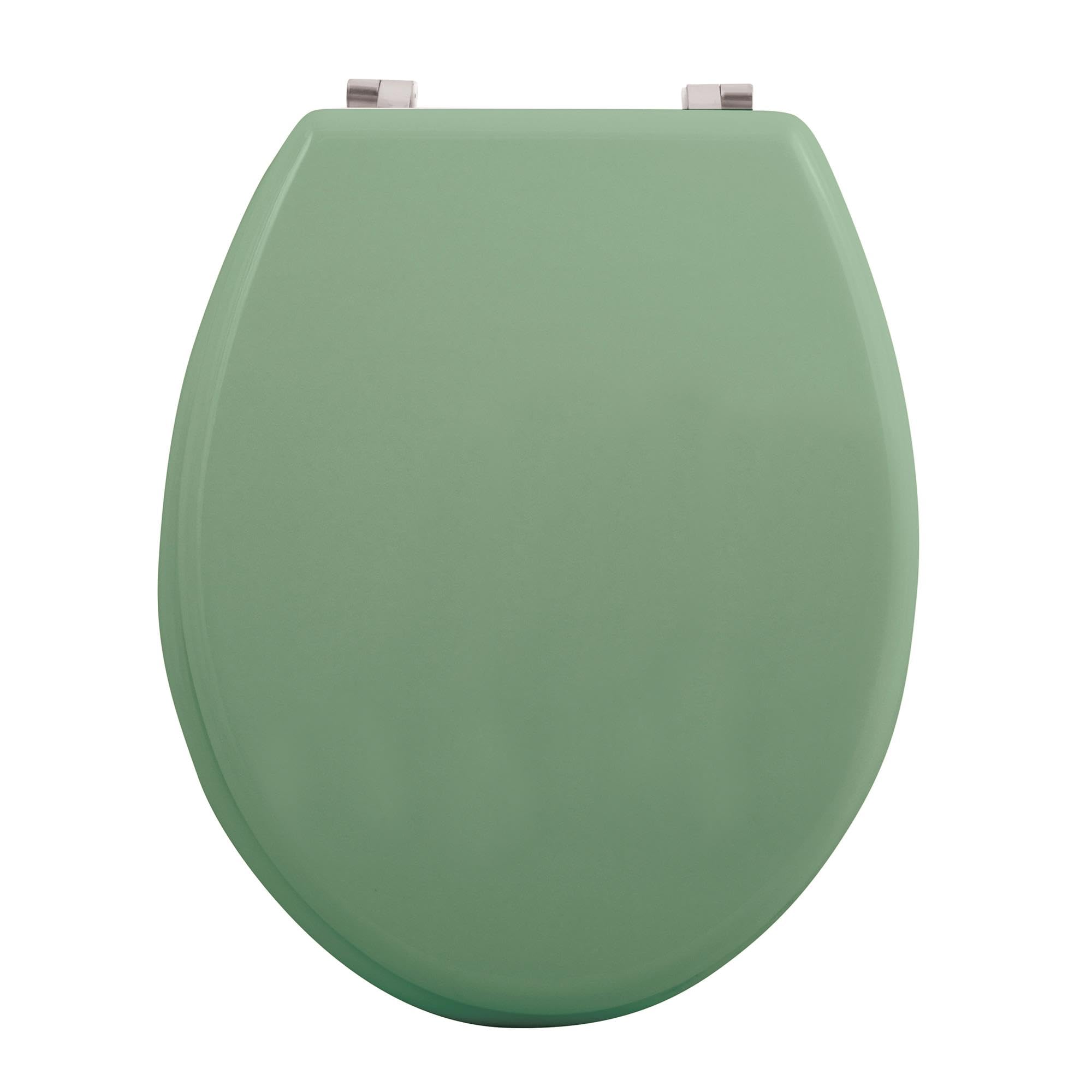 Well Home Asiento WC, con bisagras acero inoxidable, acabado, color albahaca