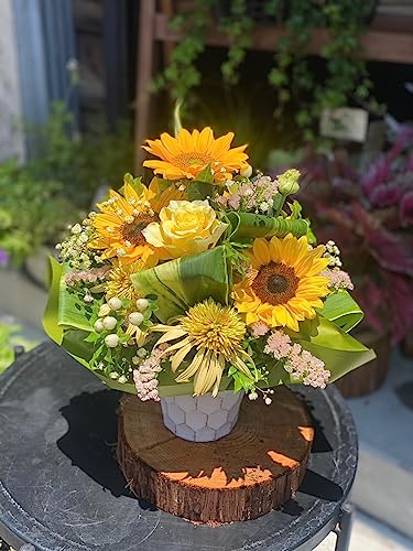  yKazuaz IׂJ[ G߂̂Ԃӂ񂾂Ɏg t[AW  ؂ t[AWg /җj j a LO v[g JXj ̓ ̓ ԃMtg CG[n