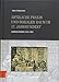 Arztliche Praxis Und Sozialer Raum Im 17. Jahrhundert: Johannes Magirus (1615-1697) (German Edition)