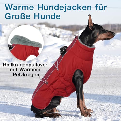 Katzinst Wintermantel Hund Klein, Wasserbeständig Hundeanorak mit Bauchschutz und Rollkragen, Schneemantel Hund, Sehr Schönes Material, Hundebekleidung für Schnauzer, Rot, S