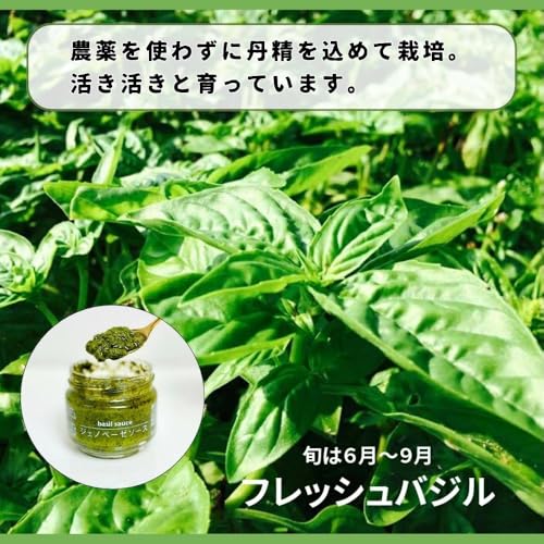 FLASKY ジェノベーゼソース 95g