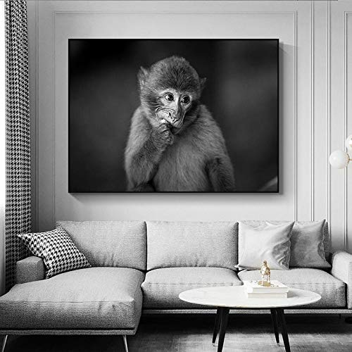 Affiche grand animal singe banane deco murale 60x80