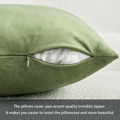Image of MIULEE Sage Green Velvet Throw Pillow Cover 12 x 20 Inch Soft Decorative Pillow Cover Lumbar Cushion Case Home Decor for Couch Sofa Bedroom