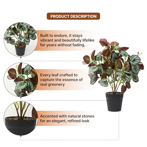 Image of Habere India-All the Cultures Fabricating India Artificial Plant with Pot for Home Decor | Fake Plants for Living Room Decoration | Artificial Plants for Decoration (Design 02; L24 x W25 X H38 cm)
