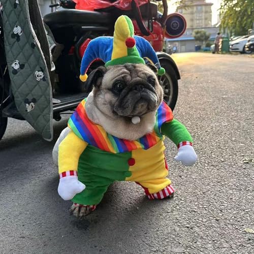 Hundekostüm, Hundekleidung, Haustierkostüm, Halloween, Cosplay für Hunde, Halloween, Weihnachten, Clown-Kostüm, lustig, lustig, für Hunde und Katzen, kreatives aufrechtes Kostüm (m)