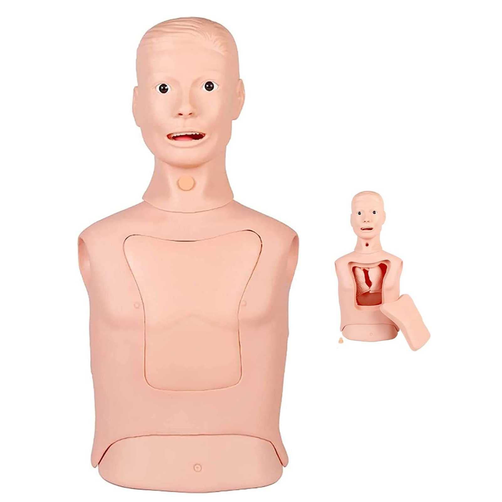 Buy Advanced Half Body Manikin Teaching Models Nasotric Tube And Trachea Care Model tric Lavage