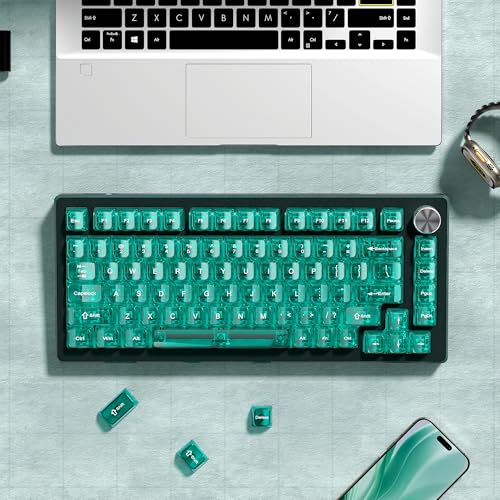Image of dagaladoo Clear keycaps,Transparent Keyboard keycaps,Jelly Key caps Set,Shine Through keycap，MDA Profile Keyboard caps for Mx Switches Mechanical Keyboard(Light Green)
