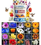 Small manufacture image 21